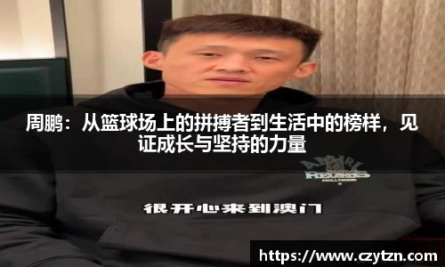 球速体育平台登录入口